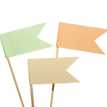 Peach, Ivory, Mint Green Flag Cupcake Toppers / Party Picks