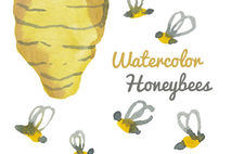 Watercolor Honey Bee Clip Art Image Pack Bees Clipart Digital Do