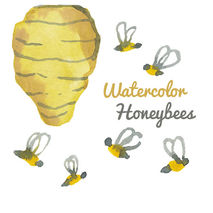 Watercolor Honey Bee Clip Art Image Pack Bees Clipart Digital Do