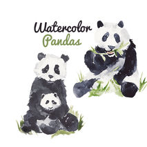 Watercolor Painted Panda Clip Art Pandas Commercial use digital