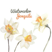 Watercolor Jonquil Flower Clip Art for Scrapbooking Instant Down