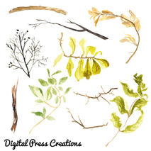 Watercolor Painted Branch Clip Art Tree Branch Commercial use di