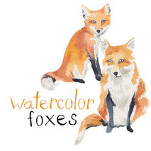 Watercolor Painted Foxes Clip Art Fox Commercial use digital scr