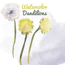 Watercolor Dandelion Weed Flower Clip Art for Scrapbooking Insta