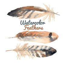 Watercolor Feathers Clip art Clipart bird clip art feathers clip