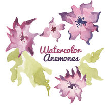 Watercolor Anemone clip art flower clip art flowers watercolor d