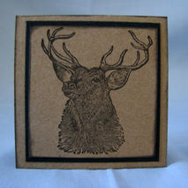 Masculine mini card set, Deer card set, Buck cards, stag cards