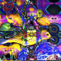 Nature Reflections II - Art Card, ACEO