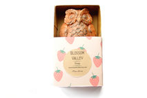 Strawberry & French Pink Clay Owl Soap