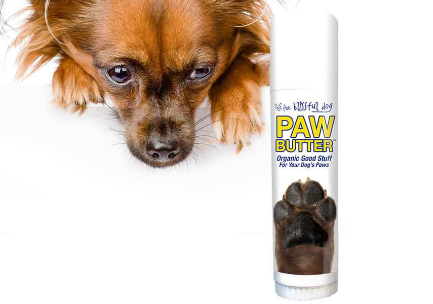 The Blissful Dog PAW BUTTER All Natural Good Stuff for Dry Paw Pads