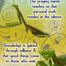 PRAYING MANTIS: Unique Blank Greeting Card
