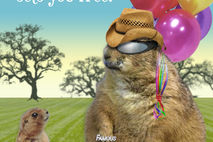 Funny Prairie Dog Birthday Card: Aging Sets You Free