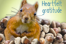 Unique Thank You Greeting Card: Pile Of Gratitude