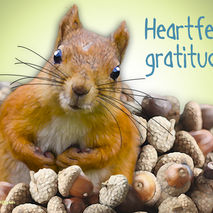 Unique Thank You Greeting Card: Pile Of Gratitude