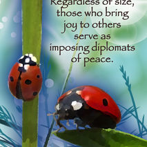 LADYBUG: Unique Blank Greeting Card