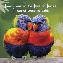 LOVE: Universal Law - Unique Greeting Card