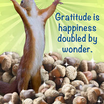 Unique Thank You Greeting Card: Gratitude Is Wonder