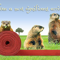 Funny Groundhog Birthday Card: Red Carpet Welcome