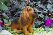 Needle Felted Bloodhound Sculpture Wool