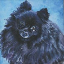 black pomeranian portrait art CANVAS print of painting 12x12"