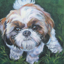 shih tzu portrait art 12x12" CANVAS print of painting