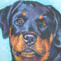 Rottweiler portrait 12x12" CANVAS print of painting