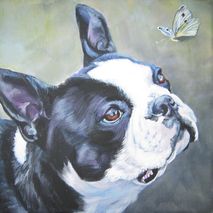 Boston Terrier portrait 12x12" CANVAS print of painting