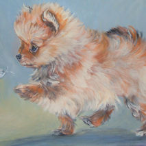 pomeranian portrait art 8x10" CANVAS print of painting