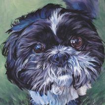 shih tzu portrait art 18x10" CANVAS print of painting