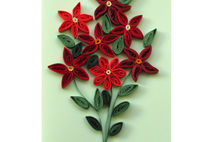 Birthday card with Red Posies, Blank Birthday Card, Red Flowers