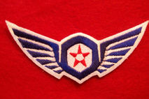 Pacific Rim - Gipsy Danger - Jaeger logo embroidered patch   pil