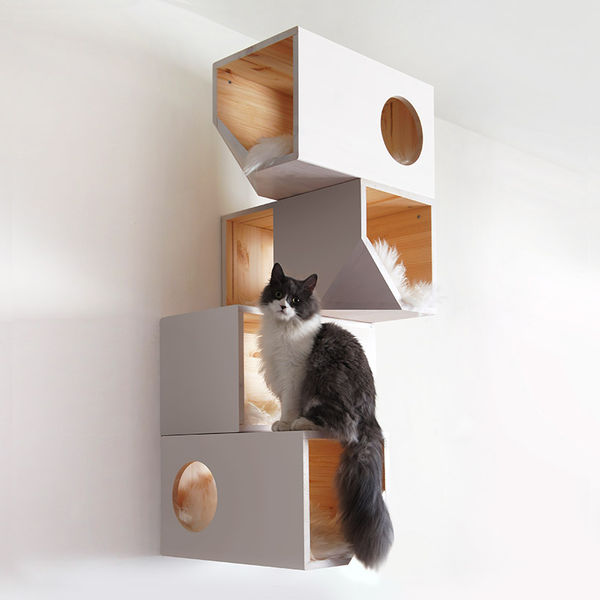 cat tree for humans