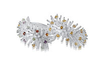 Fireworks Ring "stretched"