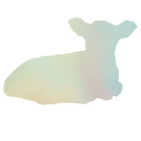 Lamb Textile