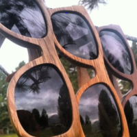 Hatchet Eyewear Wood Sunglasses